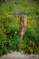 Just a fence at the beach