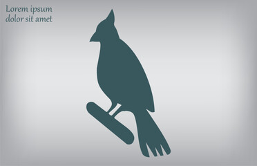Naklejka premium Vector illustration, gray background.