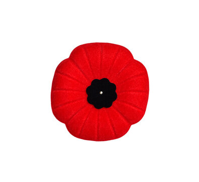 Red Remebrance Day poppy pin isolated cutout on transparent