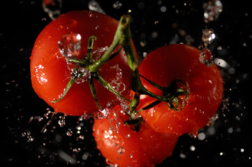 Fresh Juicy Tomatoes