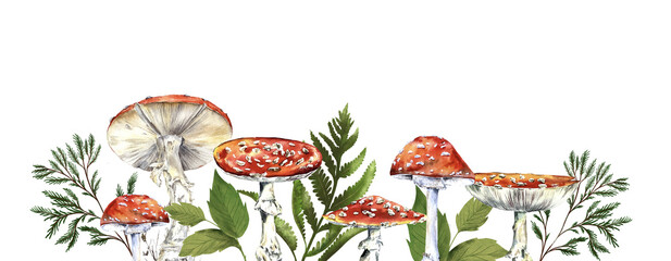 Fly agaric mushrooms illustration banner - amanita mushrooms set Isolated on white background with grass, fall leaves and fern leaves, wild forest plants, ecological © lidianureeva