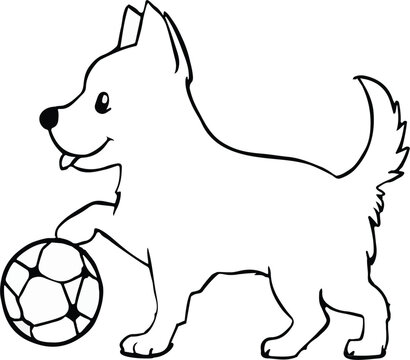 a cute dogy playing with a football