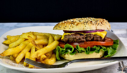 cheese burger with tomato and onion oa a everything bagel