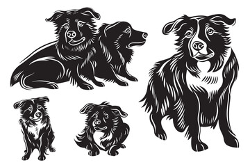 Peeking Border Collie Clipart Peeking Border Collie Dog