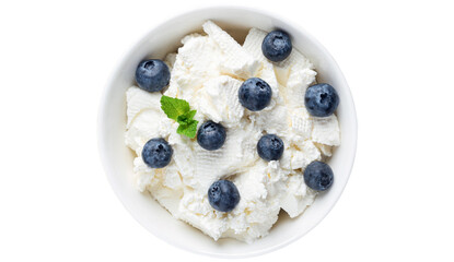 Tvorog, curd cheese or cottage cheese - rich in calcium dairy product, soft white cheese topped with blueberries. Cutout culinary object