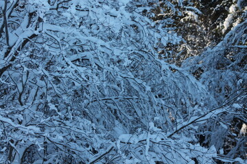 11th Feb 2024 Kristiansund, Frei