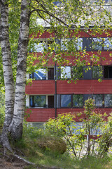 Building in the trees