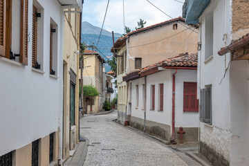 Fototapeta premium Old town of city of Ioannina, Epirus, Greece