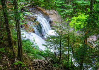 beautiful Sable Falls in Northern Michigan Forest