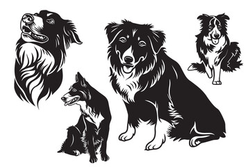 Peeking Border Collie Clipart Peeking Border Collie Dog