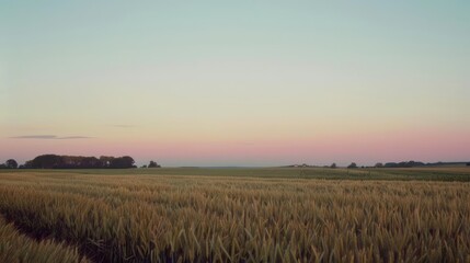 Fototapeta premium Minimalist countryside field at dawn, emphasizing calm and tranquility, in a style blending documentary, editorial, and magazine photography