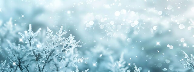 Frosty winter scene with delicate snowflakes and blurred light particles on cold snowy backdrop. Concept of frozen nature, frost, seasonal holiday. Abstract soft winter background. Copy space. Banner