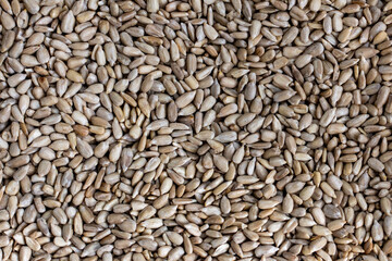 Semente de girassol sem casca crua