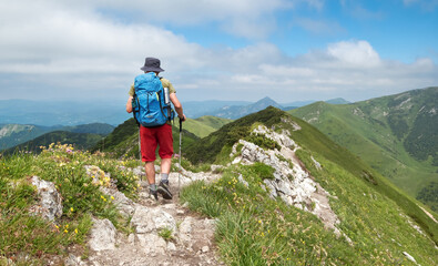 Hiker with trekking poles, backpack navigates rocky mountain trail on sunny day scenic background...