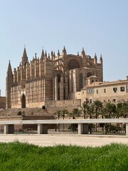 Fototapeta premium city de mallorca cathedral