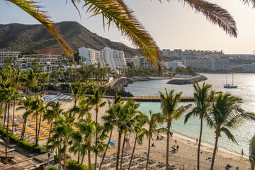 Rows of sunbeds on the white sandy tropical beach with palm trees