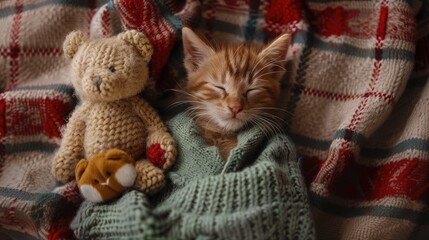 Kitten in cozy sweater cuddles toy bear on plaid top down view