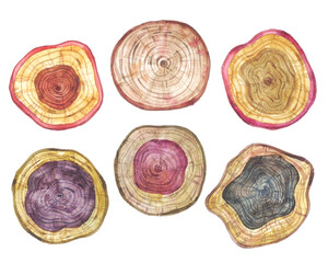 Cut wood tree trunk watercolor illustration.