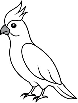 recommend clip art: Black and white illustration of a cockatoo parrot with intricate details