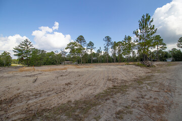 Native forest habitat destroyed for new housing construction in north central Florida