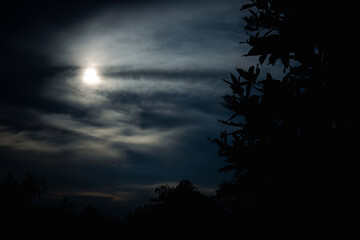 A dark sky with a moon and clouds
