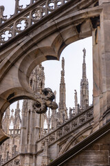 Zdobienia katedry Duomo w Mediolanie © Grzegorz