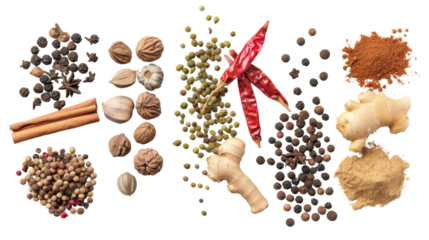 Various spices on white background