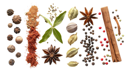 Various spices on white background