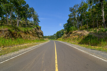 Fototapeta premium South Malang district freeway, paved road in the middle of the forest, freeway