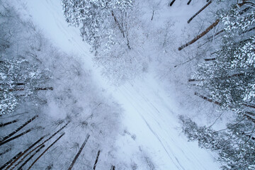 Pine and fir trees forest covered in snow. Aerial landscape from drone view. Christmas is coming. Cold frosty winter season nature background. View from above of snowy country road 