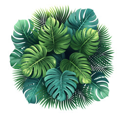 top view tropical leaves bouquet, monstera leaves and palm branch ,isolated PNG transparent background