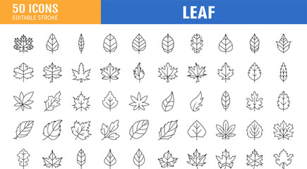 black icons leaves and branches set