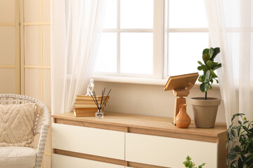 Interior of stylish living room with armchair, houseplants and chest of drawers