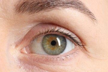 Woman with beautiful green eyes, macro photo