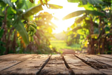 Empty wooden table top with banana plantation background. Ready for product placement, advertising, and healthy food concepts.