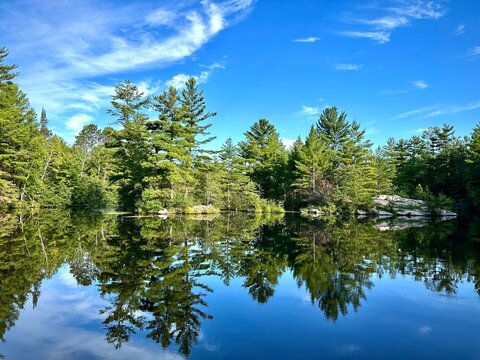 lake and trees reflection - Powered by Adobe