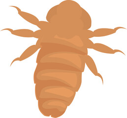 Naklejka premium Louse insect spreading its legs while crawling on white background