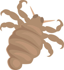 Naklejka premium Louse insect spreading infection through bite on skin, dangerous parasite causing illness and disease