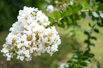 sky, sunset, clouds, nature, landscape, cloud, sun, storm, city, sunrise, weather, light, dark, evening, cloudscape, summer, orange, time lapse, dusk, blue, mountain, view, horizon, rain, scene