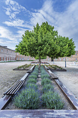 There are so many forms of garden design and style, from classic and traditional to modern and avant-garde 2