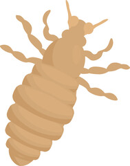 Louse insect spreading disease through touching, a common problem for pest control
