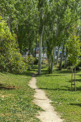 Urban parks and gardens can improve the quality of life of the population, providing a space to relax, play sports and enjoy fresh air.