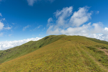 Beautiful green pasture in the Himalayas with a cloudy blue sky. Green meadow in the mountains. 