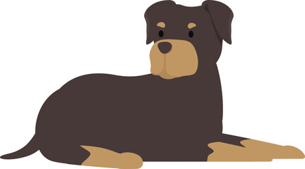 Rottweiler dog lying down, guard dog resting, happy pet concept