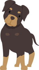 Illustration of a rottweiler standing and looking curiously, isolated on white background