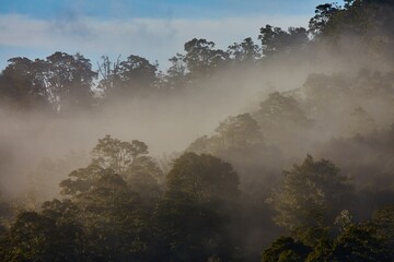 Mountains in mist in New Zealand