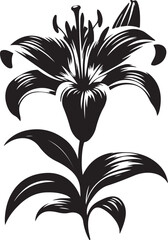 Lily flower Silhouette vector illustration