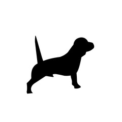 Animals collection isolated on white. Vector illustration