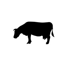 Animals collection isolated on white. Vector illustration