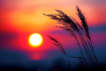 Fototapeta premium Beautiful nature view with shining light representing peace in life